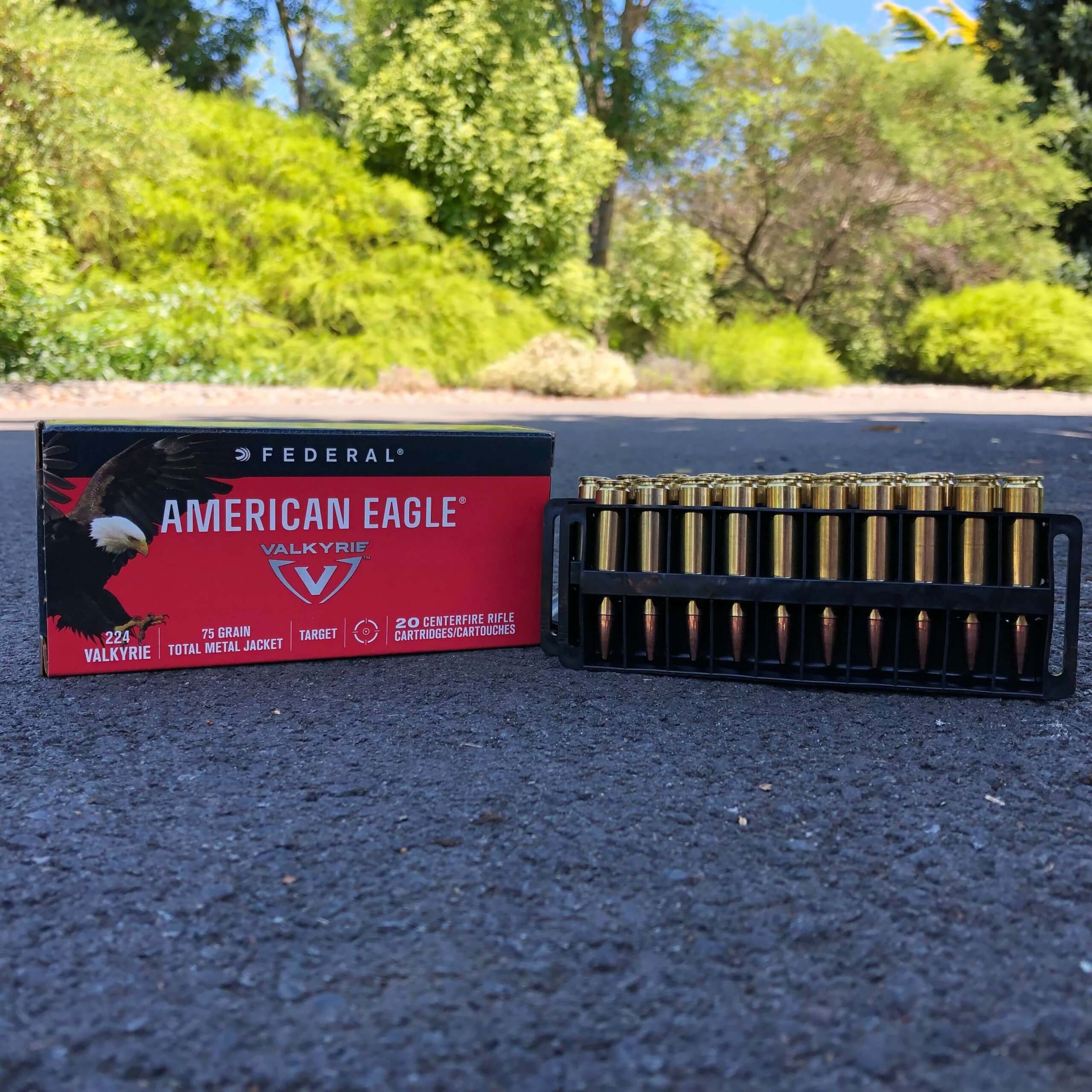 224 Valkyrie 75 Grain Total Metal Jacket (Federal American Eagle) - Image 2