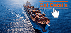 import service nz ammo