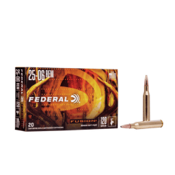25-06 federal fusion