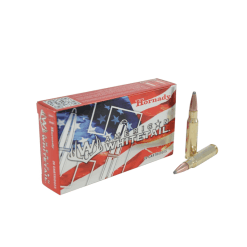 223 60gr hornady sp