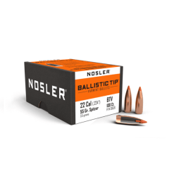 22 cal 55gr nosler